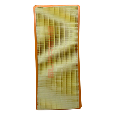 Proton Saga Air Filter