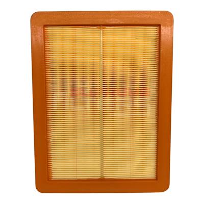 MG Hs Air Filter