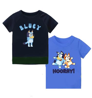 Bluey Pack