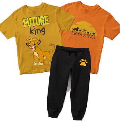 Lion King Set 