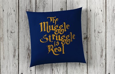 Muggle Struggles-Harry Potter