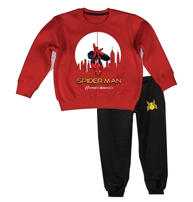 Spiderman Homecoming  Set