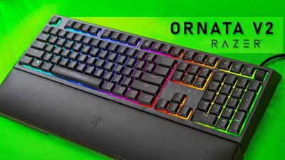 Razer Ornata V2: Clicky Comfort, Vibrant Customization
