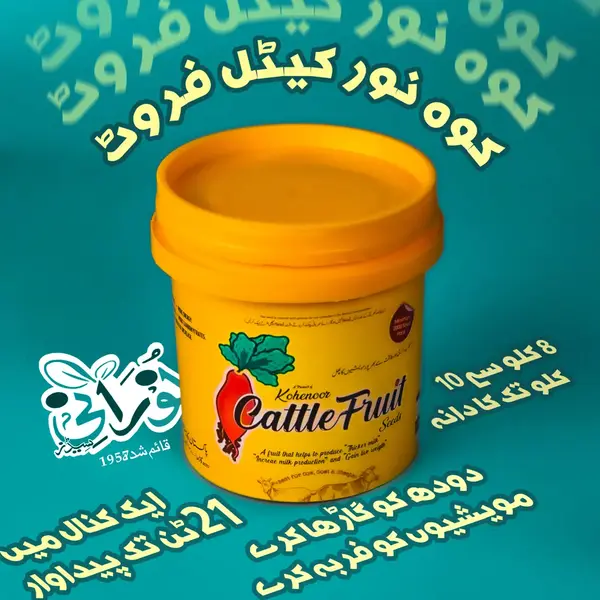 Kohenoor Cattle Fruit 3000 Seed Bucket - کوہ نور کیٹل فروٹ 3ہزار بیج کا پیک