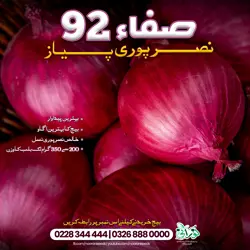 Safa 92 Onion Seeds (Nasarpuri) - صفا 92 نصرپوری پیاز کا بیج