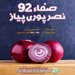 Safa 92 Onion Seeds (Nasarpuri) - صفا 92 نصرپوری پیاز کا بیج