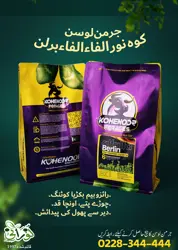 Kohenoor Alfalfa Belrin German Lucerne 1Kg Seed Bag - کوہ نور برلن الفاالفا جرمن لوسن ایک کنال کیلئے