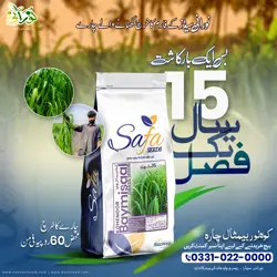 Kohenoor Baymisaal Grass 1 Kanal Seed Bag - کوہ نور بیمثال چارہایک کنال کیلئے
