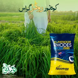 Kohenoor Rhodes Grass Fine Cut 8Kg Bag - کوہ نور روڈز گراس فائن کٹ ایک ایکڑ کیلئے