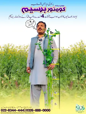 Kohenoor Berseem (Rhizobium Bacteria Coated Seeds) 10KG   کوہ نور بسیم  ایکڑ کیلئے
