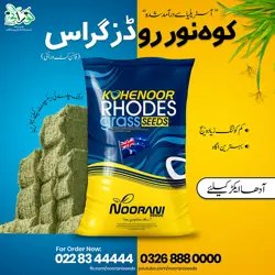 Kohenoor Rhodes Grass Fine Cut 4Kg Bag - کوہ نور روڈز گراس فائن کٹ آدھا ایکڑ کیلئے