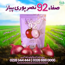 Safa 92 Onion Seeds (Nasarpuri) - صفا 92 نصرپوری پیاز کا بیج