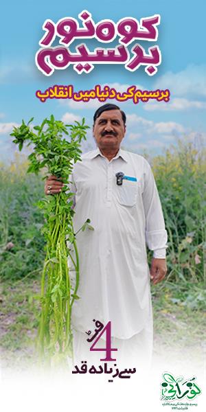 Noorani Seeds