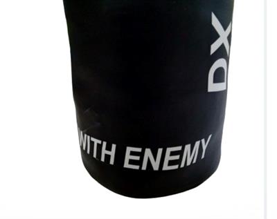 DX Pro Boxing Bag 