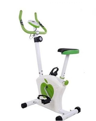 Apple Exercise Bike cycle