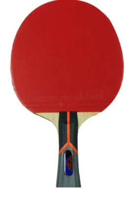 Butterfly Timo Boll CF 1000 Racket