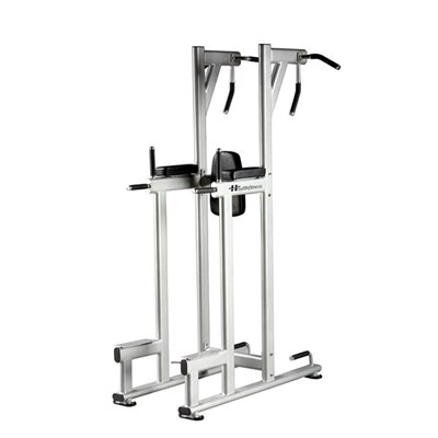 Vertical Knee Raise HF-032 Health Fitness