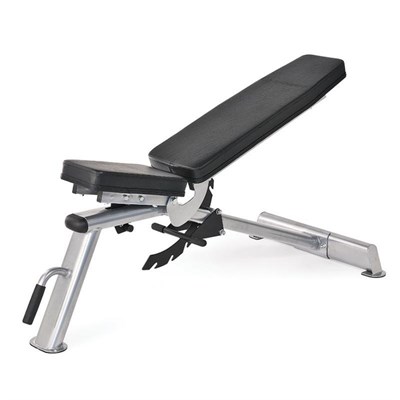 Horizon Adonis Weight Bench