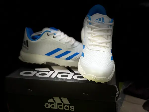 Adidas Cricket Spike 