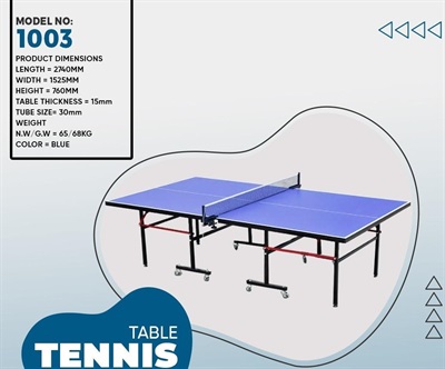 SL1003 Professional Table Tennis Table 15mm