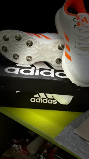Adidas Cricket Spike 