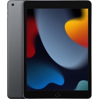 Apple iPad 9th Gen 10.2" 256GB Wi-Fi Only Space Gray 