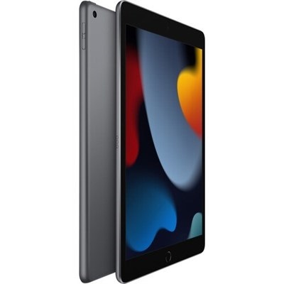 Apple iPad 9th Gen 10.2" 64GB Wi-Fi Only Space Gray 
