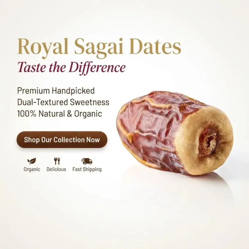 Buy Premium Sagai Dates (Sagai Khajoor) Online in Pakistan | Quetta Dry Fruits & Nuts