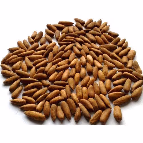 Quetta Dry Fruits & Nuts