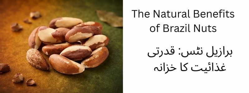 Quetta Dry Fruits & Nuts