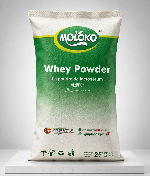 MOLOCO Whey Protein 24 Plus | Premium High Protein Powder Pakistan