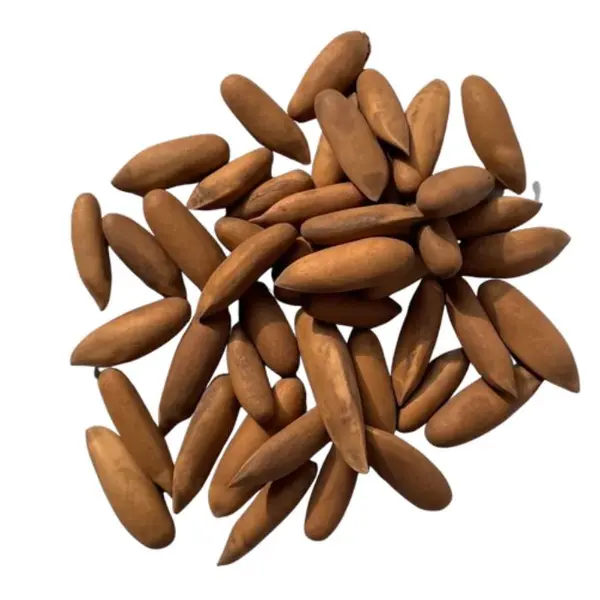 Fresh Roasted Black Chilghoza (Pine Nuts) - Available in 1kg & 500g | Best Prices in Pakistan
