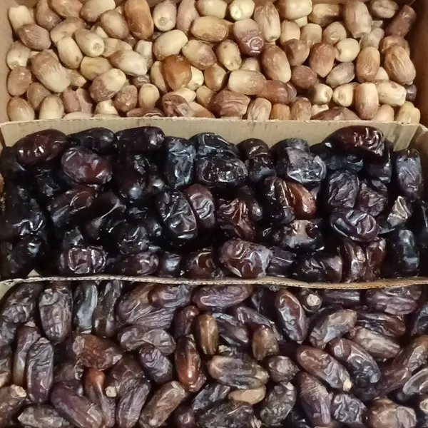 Ramadan Special 3KG Dates Gift Box – Muzafati, Rabbi & Zahidi | Premium & Budget-Friendly Gift Pack