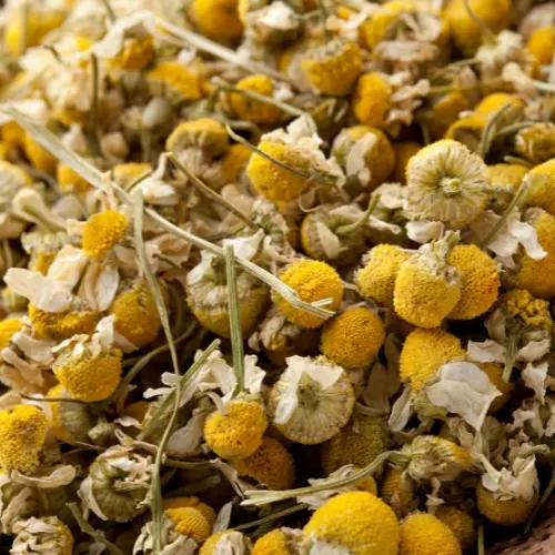 Buy Premium Chamomile Tea Online in Pakistan | Natural Herbal Tea for Relaxation
