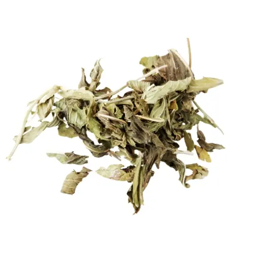Buy Premium Spearmint Tea in Pakistan | Natural Herbal Mint Tea for Digestion & Wellness