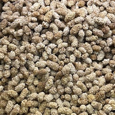 DRIED MULBERRY KABALI (Shahtoot) -500g- 1kg  شہتوت -Buy Mulberry (Shahtoot) Online | Organic Dried Mulberry