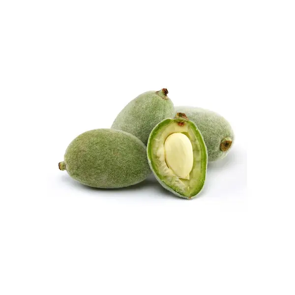 Premium Green Almond (Kacha Badam) 1kg | Fresh Kacha Badam Online in Pakistan | Quetta Dry Fruits & Nuts