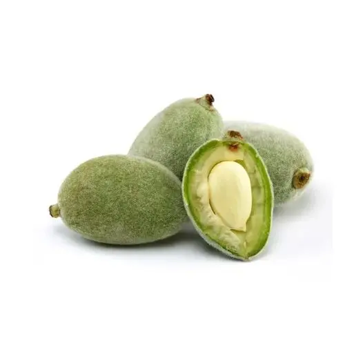 Premium Green Almond (Kacha Badam) 1kg | Fresh Kacha Badam Online in Pakistan | Quetta Dry Fruits & Nuts