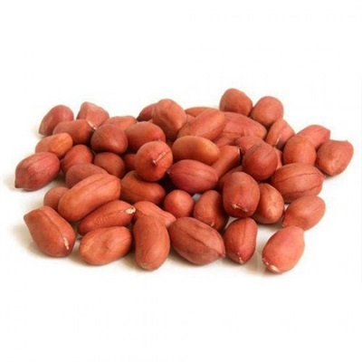 Premium Quality Roasted Peanuts (Mong Phali without Shell) | Sweet & Salty Nutritious Snack | Wholesome & Healthy Peanut Snack | 