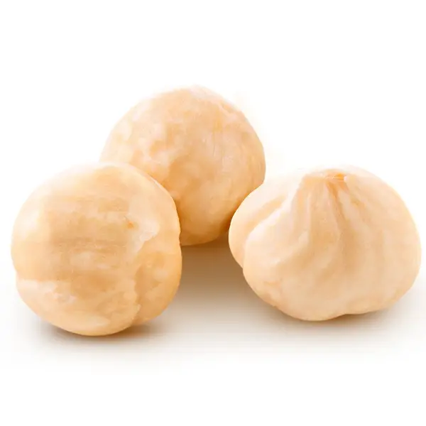 Hazelnuts White Seed Plain – Premium Quality Raw Hazelnuts | Fresh & Natural Dry Fruit in Pakistan