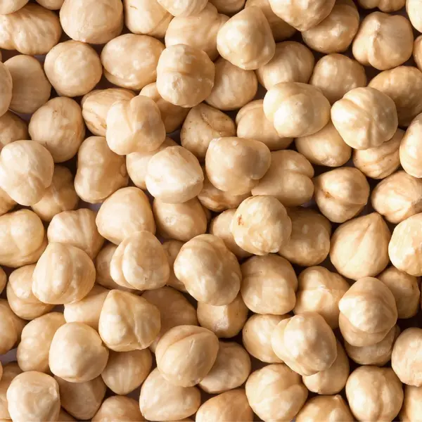 Hazelnuts White Seed Plain – Premium Quality Raw Hazelnuts | Fresh & Natural Dry Fruit in Pakistan