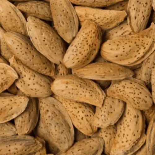 Fresh & Crunchy Loralai Peach Kagzi Almonds – Nature’s Delight | Natural Loralai Kagzi Almonds (Badaam)