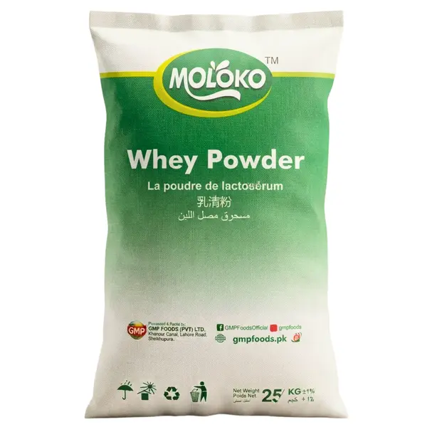 MOLOCO Whey Protein 24 Plus | Premium High Protein Powder Pakistan