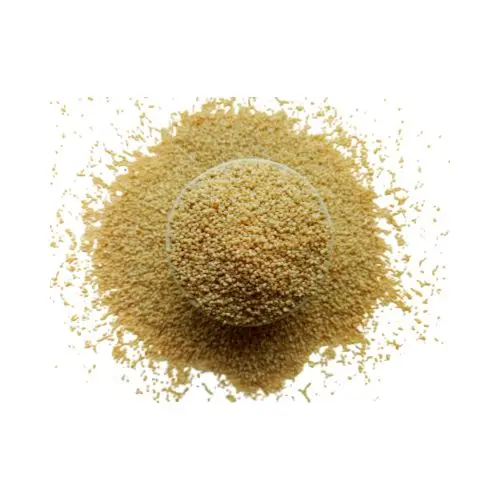 Organic Poppy Seeds (Khashkhash) Whole –Buy khashkhash Online at Best Price in Pakistan | Quetta Dry Fruits & Nuts