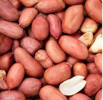 Premium Quality Roasted Peanuts (Mong Phali without Shell) | Sweet & Salty Nutritious Snack | Wholesome & Healthy Peanut Snack | 
