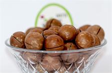 Buy Macadamia Nuts (Chabi Wala Akhrot) Online in Pakistan | Premium Fresh Macadamia Nuts | Quetta Dry Fruits & Nuts