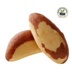 Buy Premium Brazil Nuts Shelled (Mughz) Online in Pakistan | Fresh & Healthy | Quetta Dry Fruits & Nuts
