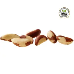 Buy Premium Brazil Nuts Shelled (Mughz) Online in Pakistan | Fresh & Healthy | Quetta Dry Fruits & Nuts