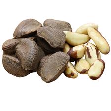 Premium Brazil Nuts with Shell – Buy Imported Brazil Nuts Online in Pakistan | Quetta Dry Fruits & Nuts