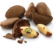 Premium Brazil Nuts with Shell – Buy Imported Brazil Nuts Online in Pakistan | Quetta Dry Fruits & Nuts